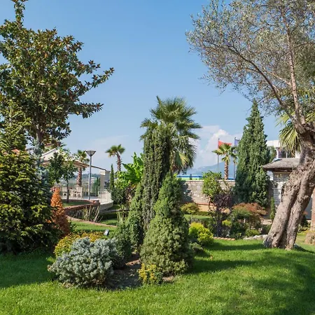Palmanova Resort Mirash